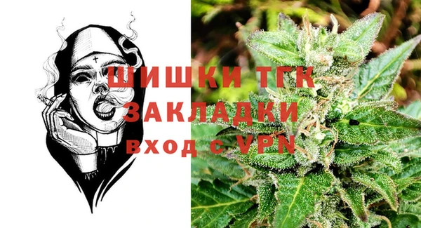 МДПВ Дмитриев