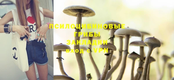 МДПВ Дмитриев