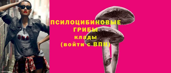 МДПВ Дмитриев