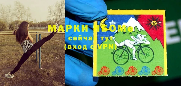 МДПВ Дмитриев