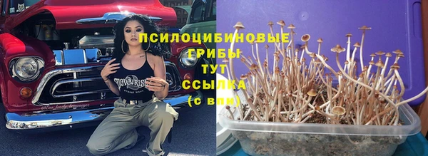 МДПВ Дмитриев