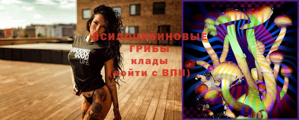 дживик Дмитровск
