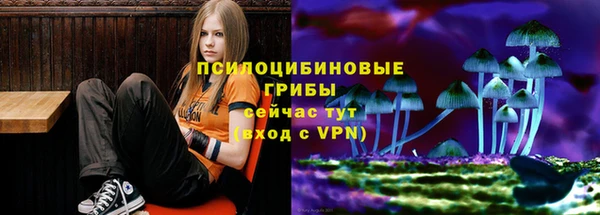 МДПВ Дмитриев